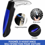 Poignée d'Appui de Portière